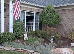 Bush Trimming by Roberto Carrasco for SID H. in Indian Land, SC