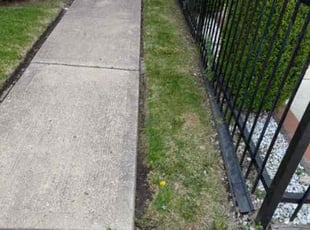 Weeding by Larry Cornelious for Jahci W. in Chicago, IL