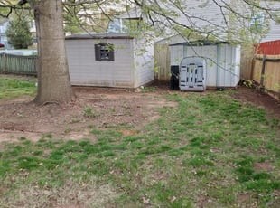 Roberta L.'s Leaf Removal service result