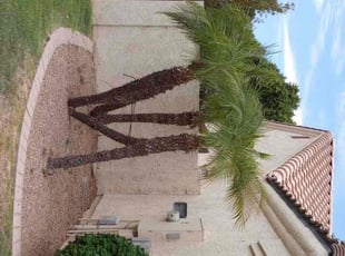 Landscaping by Sergio Laurean for Ilan W. in Gilbert, AZ
