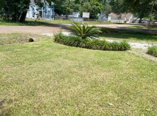 Cleanups by Christopher Grant for Dana M. in Baton Rouge, LA