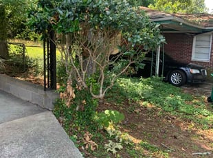 Bush Trimming by Taurus Coates for Natacha J. in Atlanta, GA