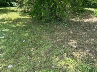 Bush Trimming by Trapper Ellis for Gregory P. in Memphis, TN