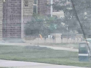 Mulching by Rodney Warren for Sheebarani M. in Fort Worth, TX
