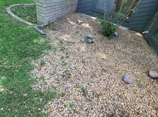 Cleanups by Jorge Aguilar for Alexa V. in Dallas, TX