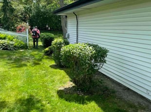 Bush Trimming by Israel Chavez for Pamela R. in Lombard, IL