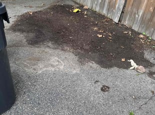 Cleanups by Santos Blanco for Jacob G. in Minneapolis, MN