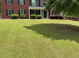 Frank D.'s Lawn Maintenance service result