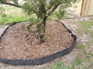 Leaf Removal by Yohan Torres for Benjamin M. in Winter Haven, FL