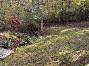 Leaf Removal by Jim Cooper for Ashley L. in Asheville, NC