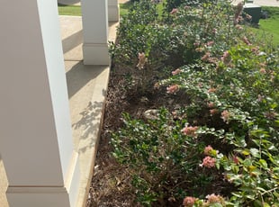 Bush Trimming by lawrence isley for Pearson G. in Belmont, NC