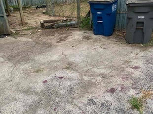 Cleanups by Taja Willis for Yvette H. in Toledo, OH