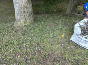 Cleanups by Crystal Murillo for Makis b. in Covington, GA