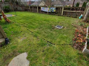 Leaf Removal by Coben Varland for Ashok S. in Bothell, WA