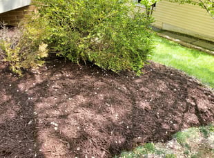 Landscaping by Anthony galeas for Shane S. in Gaithersburg, MD