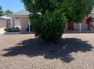Bush Trimming by Arnold Cano for Ryan B. in Phoenix, AZ