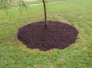 Shari M.'s Mulching service result