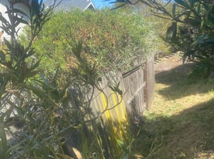 Bush Trimming by Michael Leftridge for RyAnn P. in Vallejo, CA