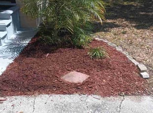 Mulching by Derek Washington for Tracy O. in Clearwater, FL