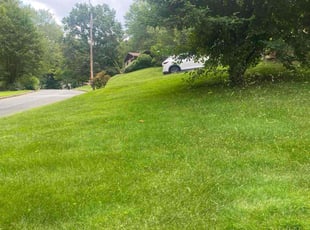 Jacquie C.'s Lawn Service service result
