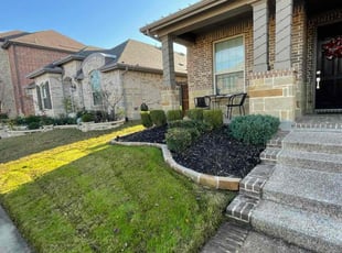 Weeding by Severa Rosie Lara for Laura F. in Euless, TX