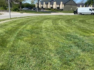 Heather J.'s Lawn Care service result