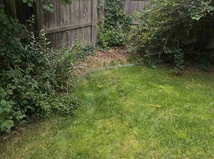 Tom S.'s Cleanups service result