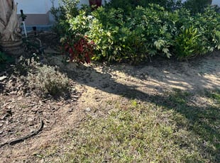 Weeding by Quinton Davis for Megan D. in Davenport, FL