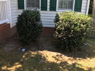 Bush Trimming by Bobby Bowker for Laura E. in Richmond, VA