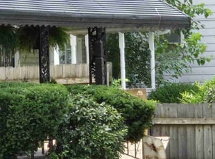 Bush Trimming by Anthony Brown for Gail S. in Norfolk, VA