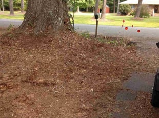 Cleanups by Debbie Carper for Mark C. in Chesapeake, VA