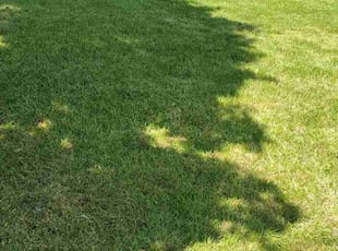 Greg E.'s Lawn Care service result