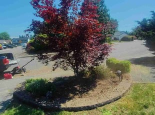 Cleanups by Ken Pearson for Kristeen W. in Portland, OR