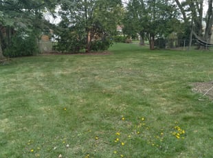 Cleanups by Kylie Johnson for Billy M. in Warren, MI