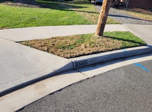 Leaf Removal by Rose Valle for Samantha S. in Fairfax, VA