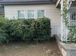 Weeding by Leray Thornton for Amanda H. in Oklahoma City, OK