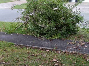 Cleanups by Timothy Wright for Dave C. in Orlando, FL