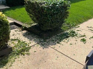 Douglas Q.'s Bush Trimming service result
