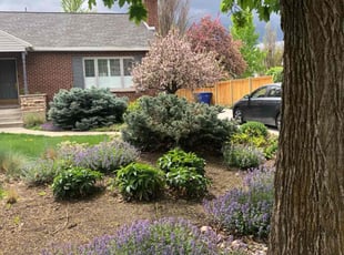 Leaf Removal by David Rordame for Teja K. in Salt Lake City, UT