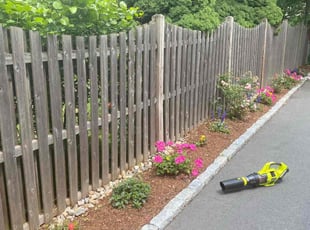 Bush Trimming by Nikolai Jackson for Mike F. in West Hartford, CT