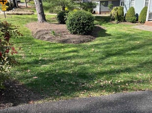 Leaf Removal by LaWanda Moses for Harold M. in Richmond, VA