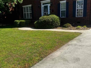 Bush Trimming by Erica Allen for Chris D. in Evans, GA