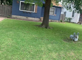 Rodney C.'s Grass Cutting service result