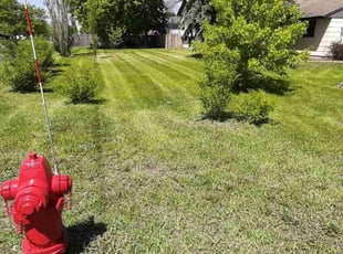 Bryan-Carlton F.'s Lawn Service service result