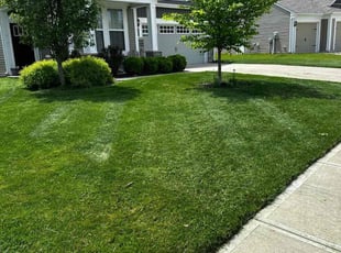 Trevor R.'s Lawn Service service result