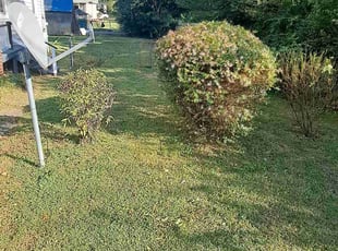 Bush Trimming by Titus Hayes for Carlette B. in Richmond, VA