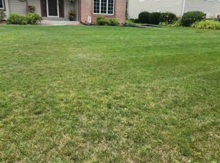 John M.'s Lawn Mowing service result