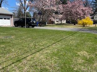 Cleanups by Harry Figueroa for Ashley D. in Springfield, MA