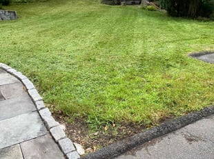 Nora J.'s Lawn Mowing service result