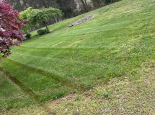 John M.'s Lawn Service service result